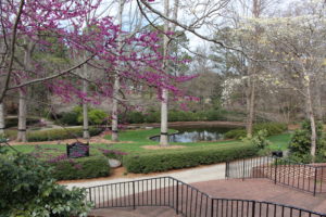 Glencairn Garden