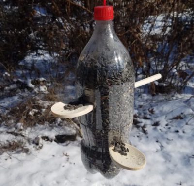 Coke bottle bird feeder