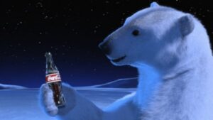 polar bears